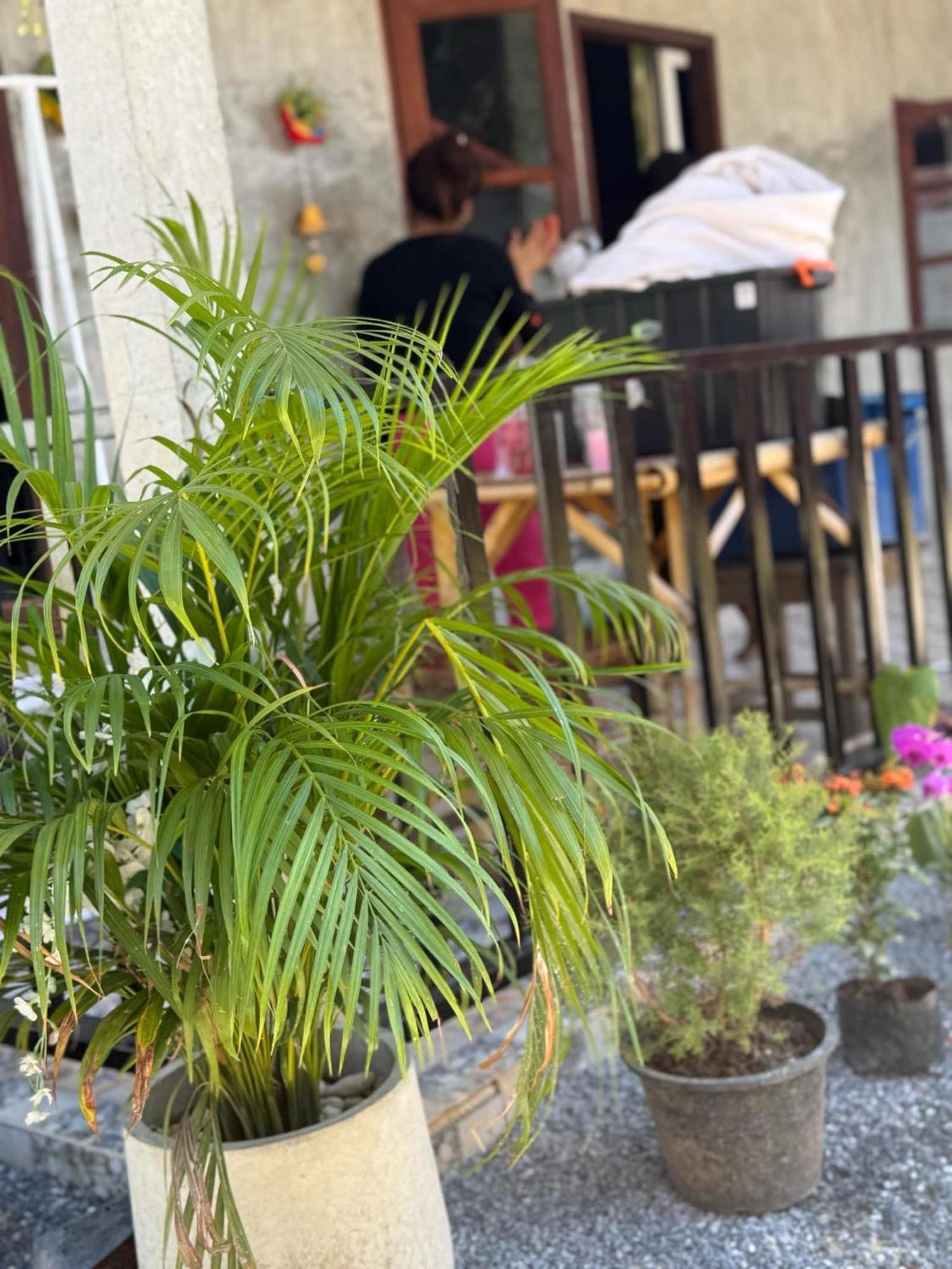 Lanta Natural Hut Garden Ko Lanta エクステリア 写真
